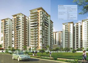 apartments for Sale in , hyderabad-real estate in hyderabad-dsr fortune prime