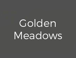 Golden Meadows Apartments in Madhurawada Vizag